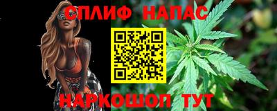спиды Новозыбков