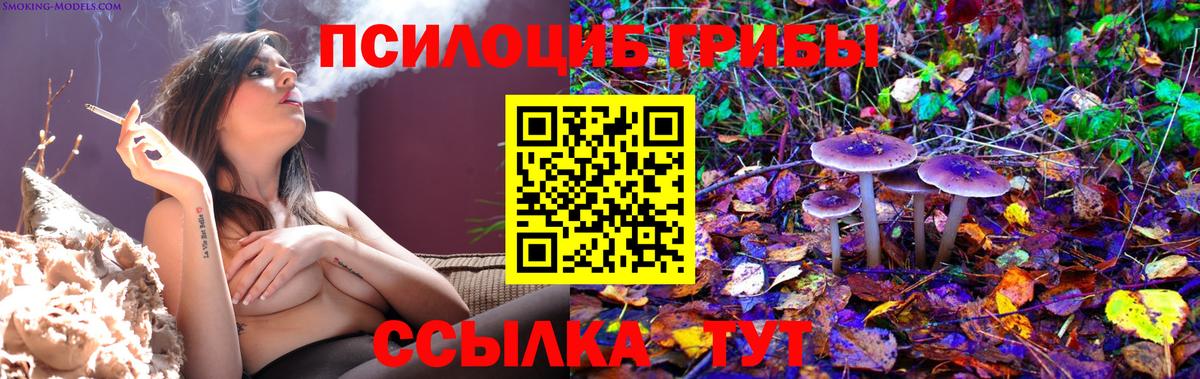 Семёнов  Галлюциногенные грибы мухоморы  Вход с VPN 